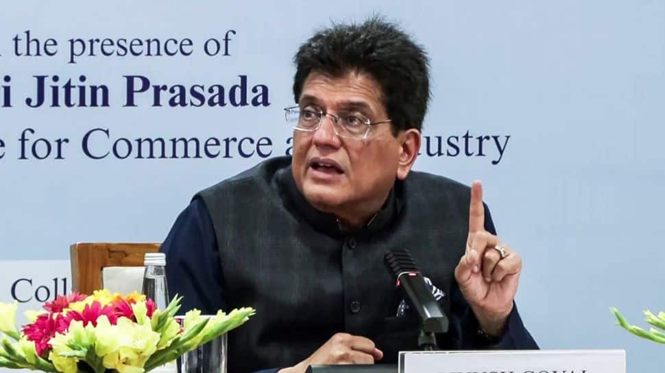 India studying US Supreme Court tariff ruling: Commerce Ministry