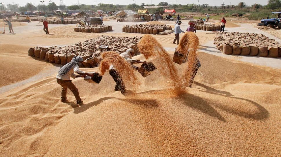 World’s top 10 food‑producing countries – Where does India stand?