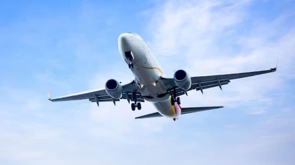 DGCA new flight tickets rule: 48-hour free cancellation, no charges for name correction within 24 hours of booking