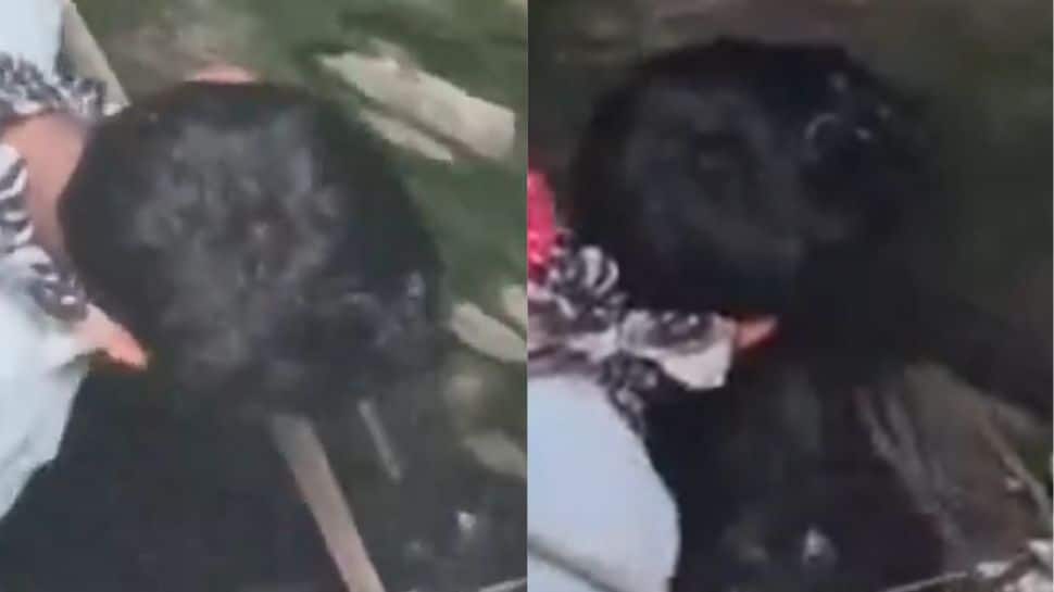 Risky rescue: Bihar boy lowered into well for saving baby goat | Viral video