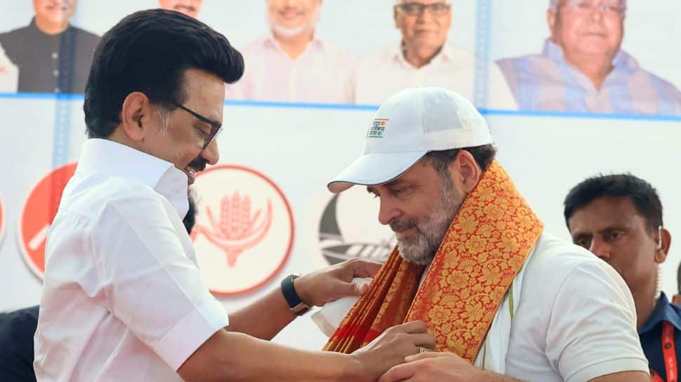 DMK Congress seat-sharing talks gather pace amid TVK speculation