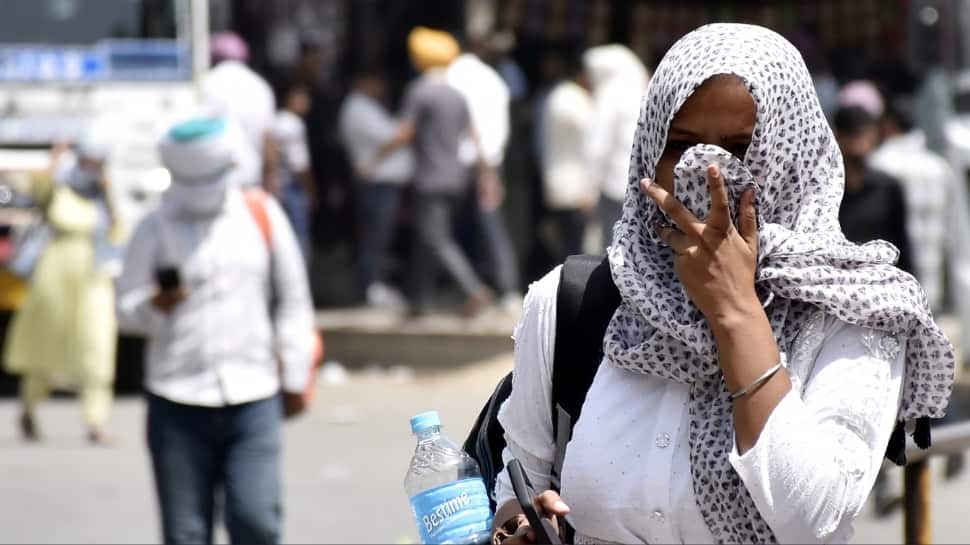 India weather update: IMD issues heatwave alert for March; mercury to hit 35°C