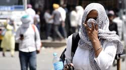 India weather update: IMD issues heatwave alert for March; mercury to hit 35°C