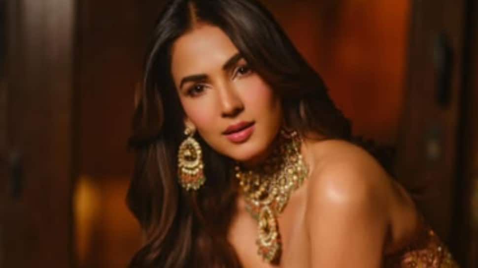 Sonal Chauhan stranded in Dubai after flight cancellations, seeks assistance from Indian govt: 'No clear way to return...'