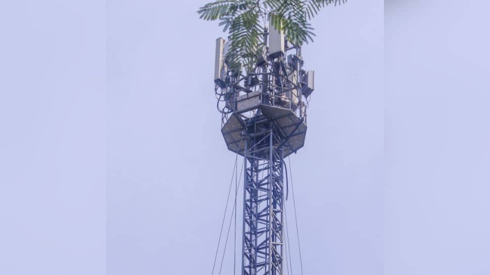 Total Bollywood drama: Bihar woman climbs to top of mobile tower demanding lover’s release from jail