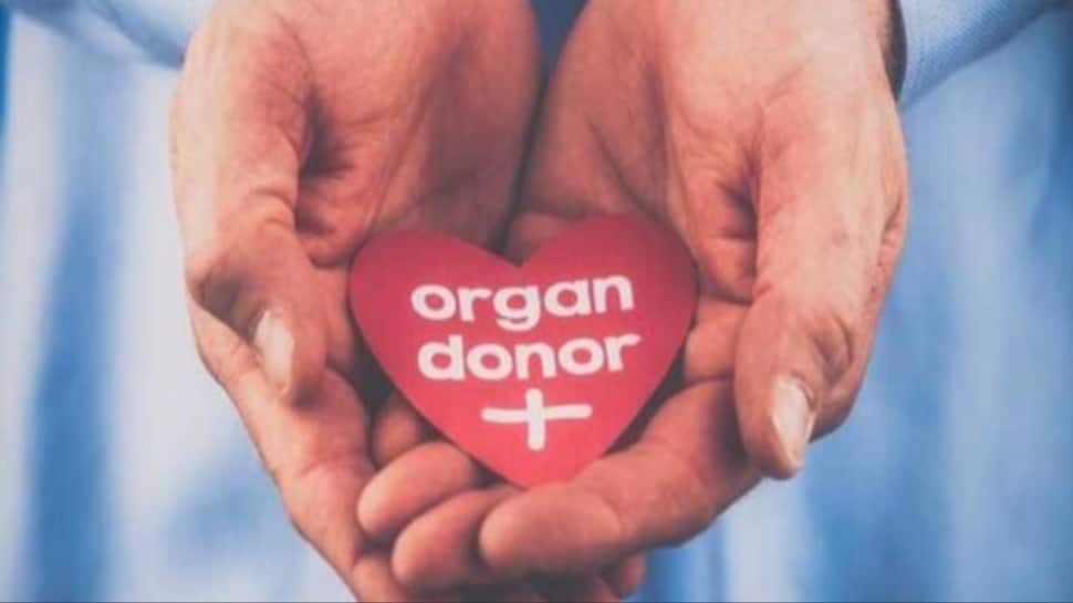 Life after loss: One man’s organ donation gave life to strangers across India