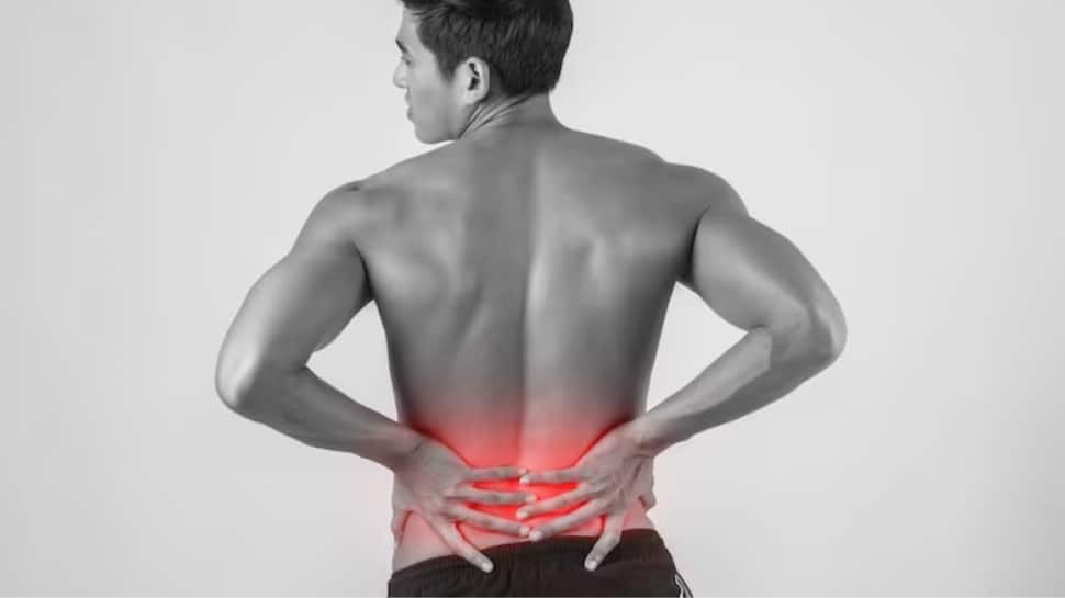 Is your back pain due to a slip disc or muscle strain? Expert reveals how to differentiate between the two