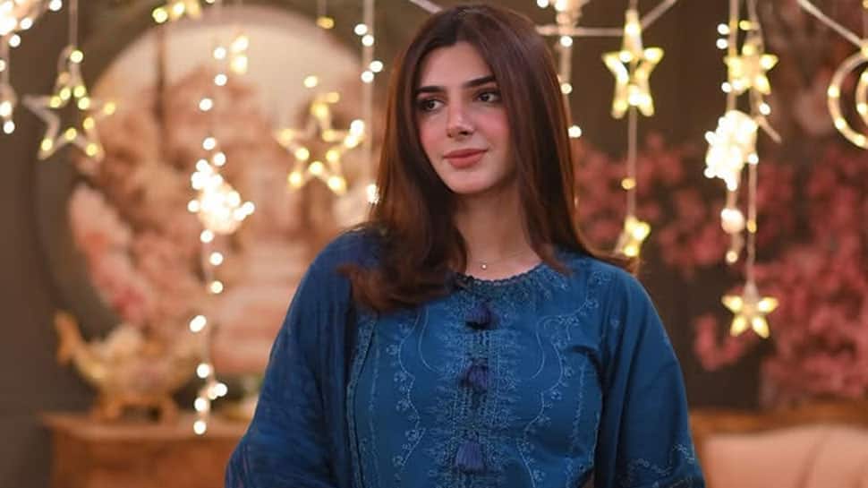 Pakistani actress Vaneeza Sattar's FIRST reaction to wedding rumours with Shoaib Malik: 'I have never even...'