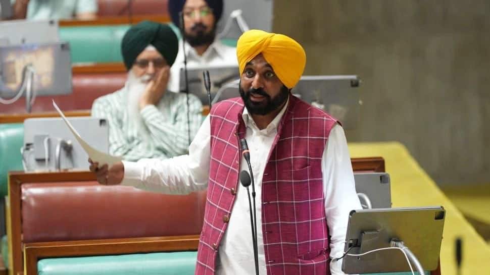 Trade deal with United States will ruin farmers of Punjab & country: CM Bhagwant Singh Mann