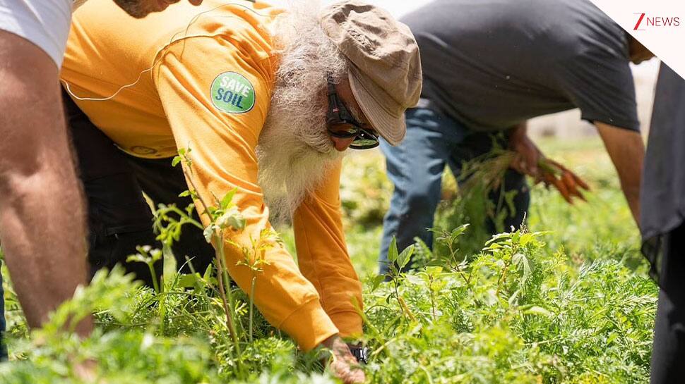 Liberating agriculture: A new future for Bharat’s farmers