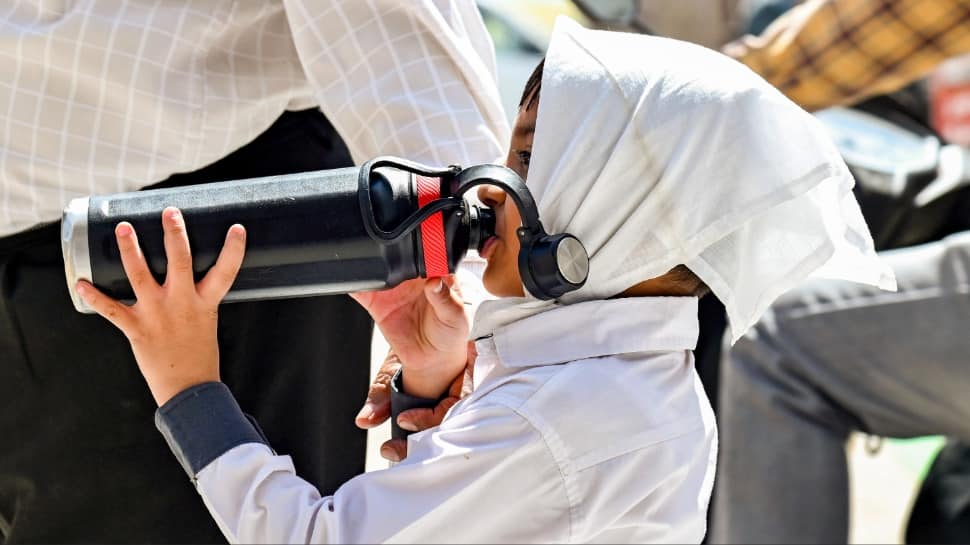 India weather update: Rain & snow relief for North India; severe heatwave alert for Gujarat & Saurashtra | Check IMD forecast