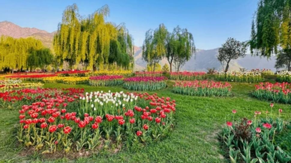 Spring Season In India Want to experience India’s most beautiful spring destinations? Here are ...