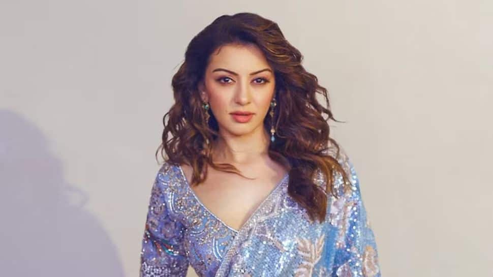 Hansika Motwani shares first post after divorce from Sohael Khaturiya; What does ‘Chardi Kala’ mean?