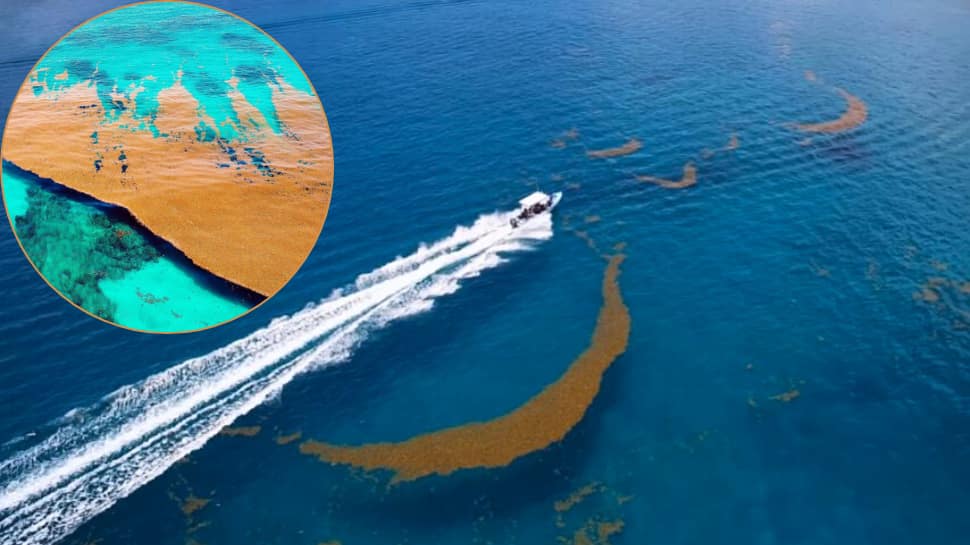 There’s a mysterious ocean with no land on Earth and it’s been hiding in plain sight for centuries