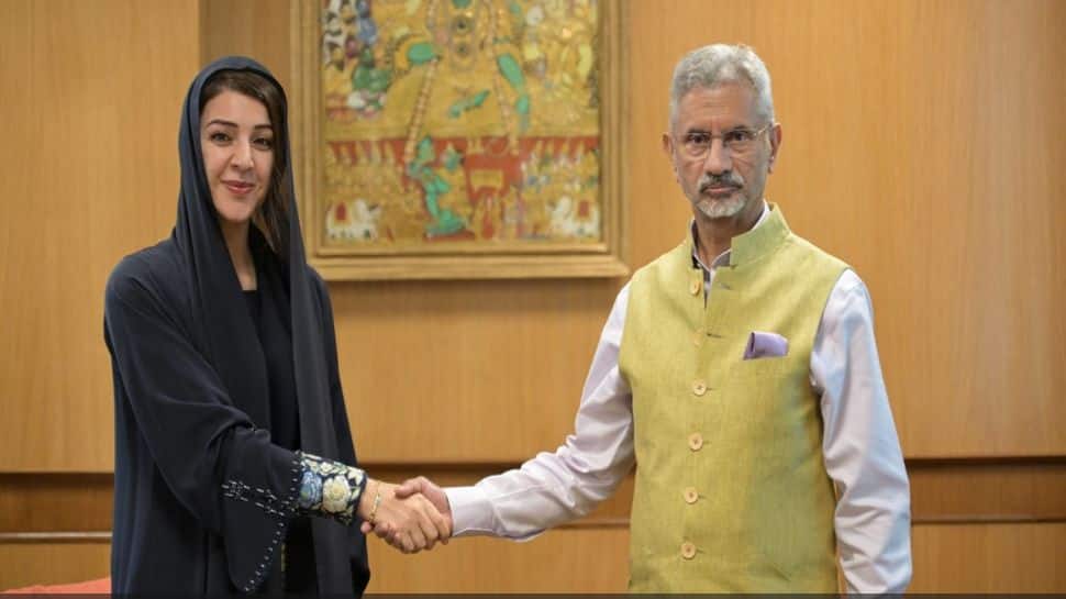 Strait of Hormuz alert: UAE and India push to protect vital trade from ...