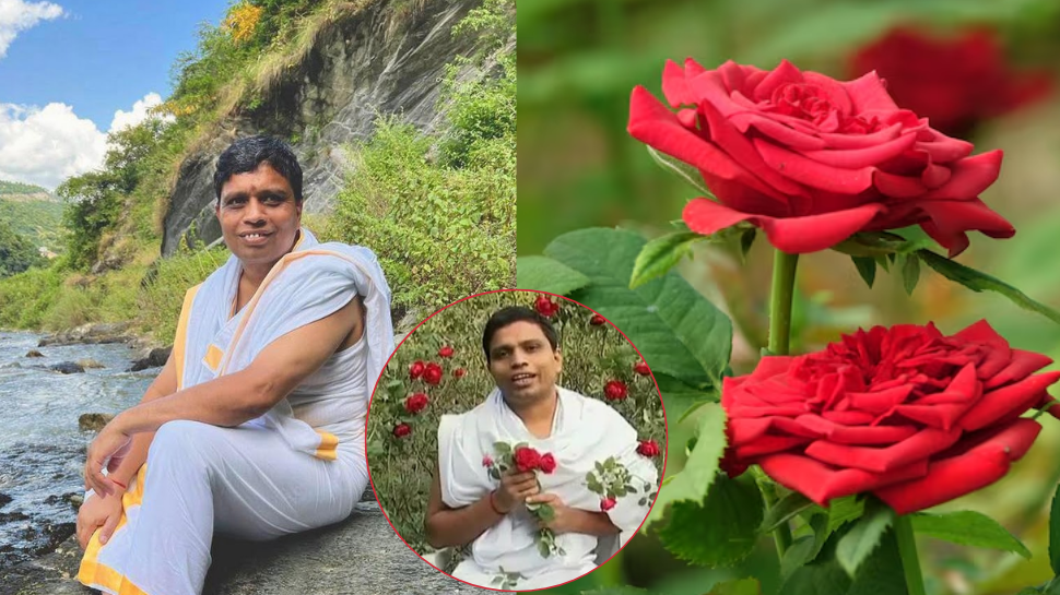Struggling with heart palpitations? Acharya Balkrishna reveals why desi rose is a blessing for heart health