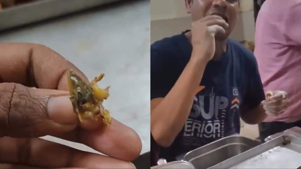 Bhopal University canteen staff eats `lizard` found in food to prove it is capsicum | Video