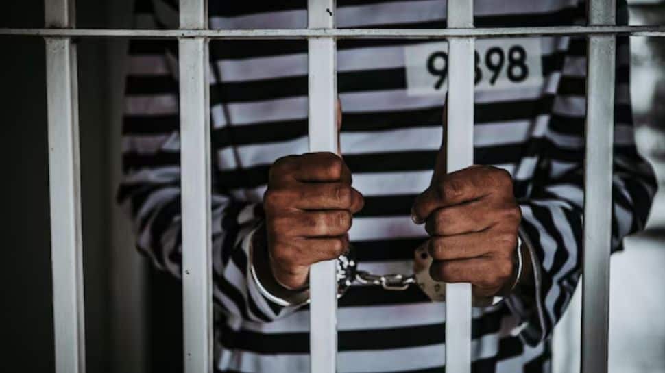 170 custodial deaths reported across country in first 74 days of 2026: Govt