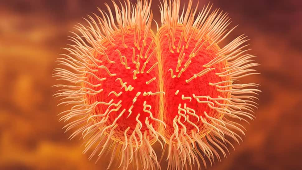 Surviving meningitis could haunt you for years, new study reveals hidden dangers