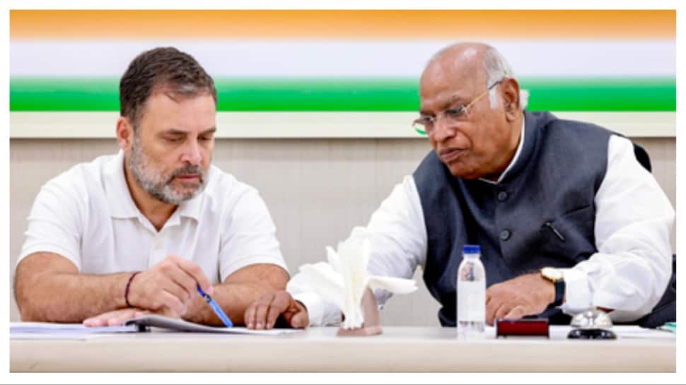 Rahul Gandhi to skip Kerala rally, Kharge to address gathering instead