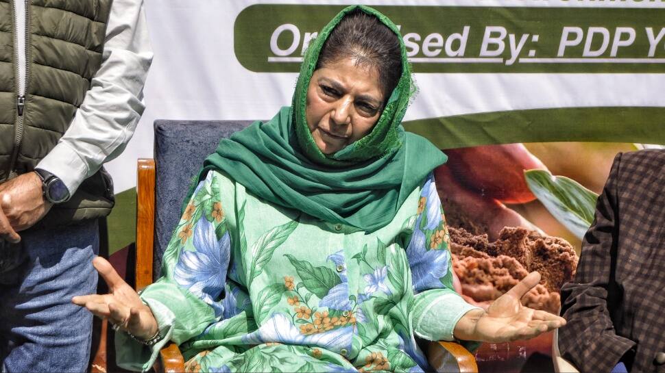 `Asiya Andrabi’s conviction should be reviewed on humanitarian grounds`: Mehbooba Mufti