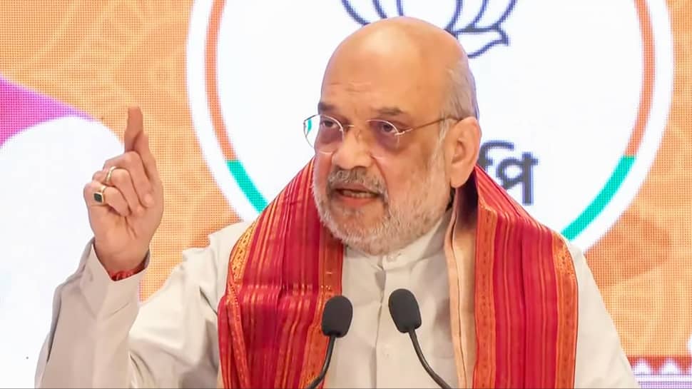 `Will complete border fencing land allocation in 45 days if voted to power in Bengal`: HM Amit Shah