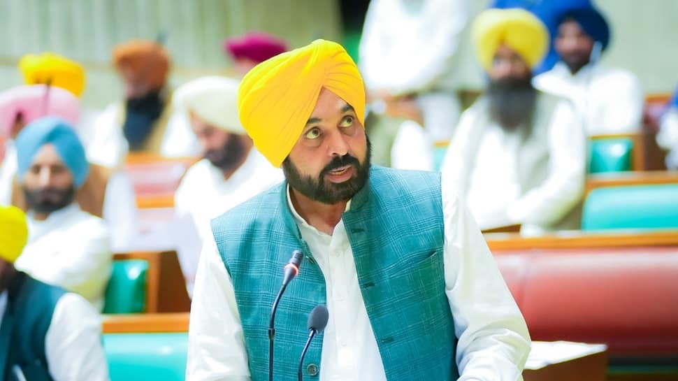 Punjab flags urgent fuel demand as 140 LMT wheat harvest approaches: CM Bhagwant Singh Mann