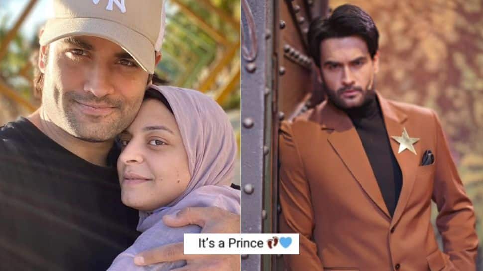 Bigg Boss 18 contestant Vivian Dsena and wife Nouran Aly welcome baby boy