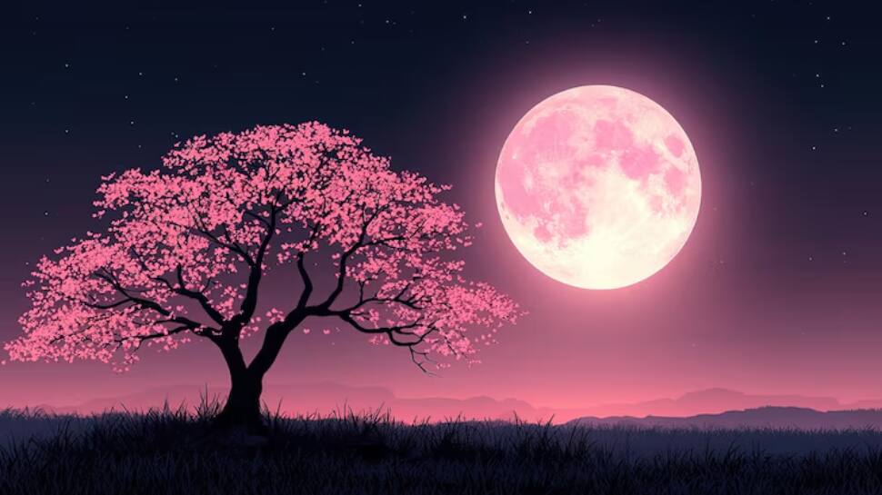 April 2026 Pink Moon Is It Appearing Today Check Exact Timings How 