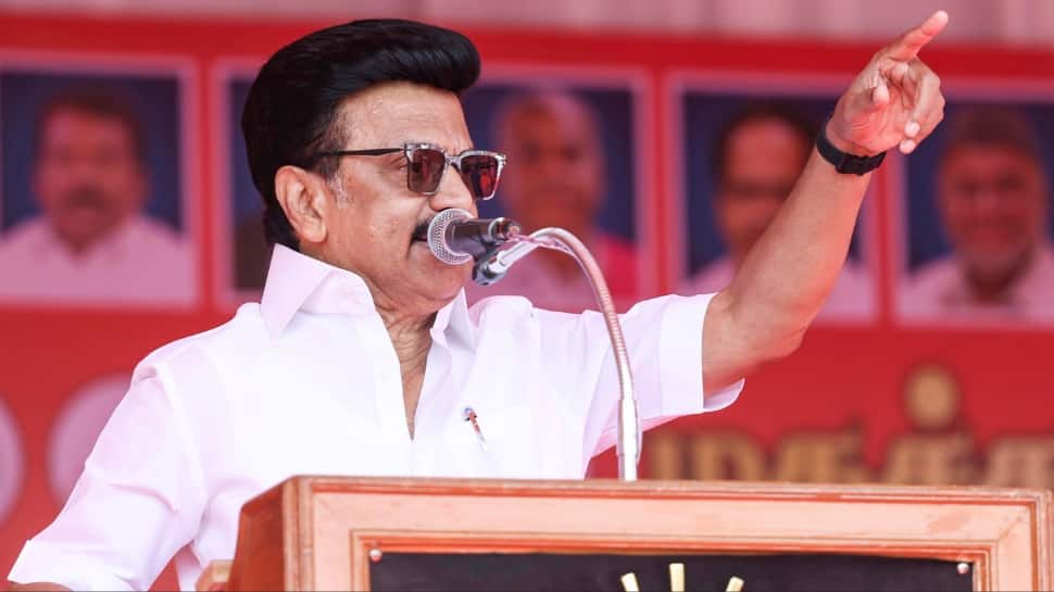 Tamil Nadu Assembly Elections 2026: What is Illatharasi Scheme? Everything about DMK`s Rs 8,000 appliance coupon and pension hikes