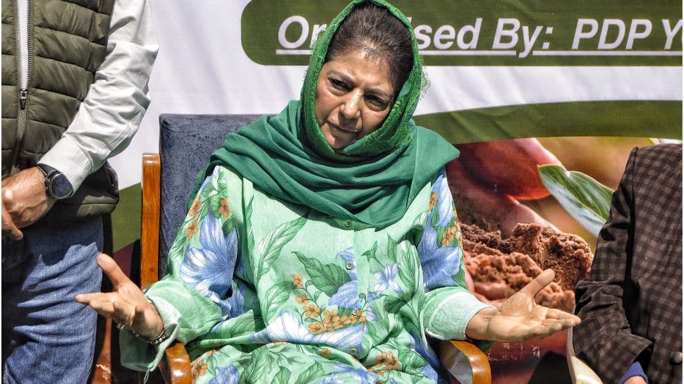 Mehbooba Mufti slams `Arhama encounter` as fake, claims civilian killed as terrorist