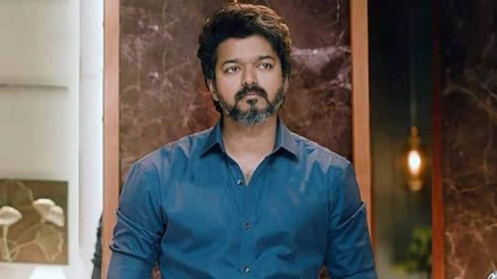 TVK chief Vijay loses temper, SNAPS at security guard for pushing elderly man during roadshow - WATCH