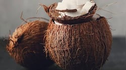 Ever wondered why copra or coconut is not allowed in flight? Reasons EXPLAINED