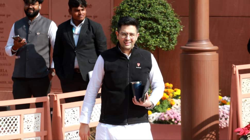 Raghav Chadha rejects AAP criticism, says `to my colleagues picture abhi baaki hai...`