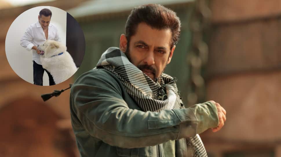Bollywood superstar Salman Khan shares candid moments with his beloved pet dog