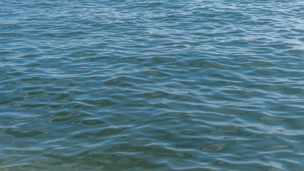 Water bodies