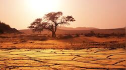 World's countries with NO rivers, but plenty of water? Check