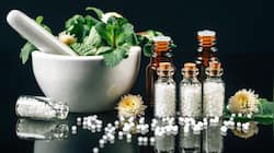 World homoeopathy day 2026: From chronic allergies to hormonal health