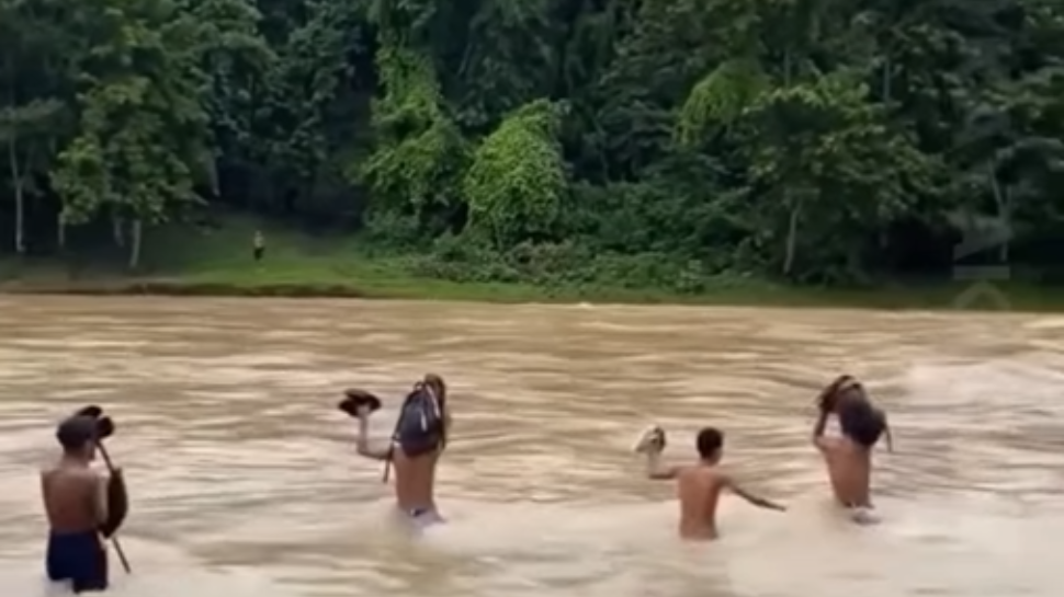 Not a movie scene: Meghalaya children brave strong currents to reach school | WATCH