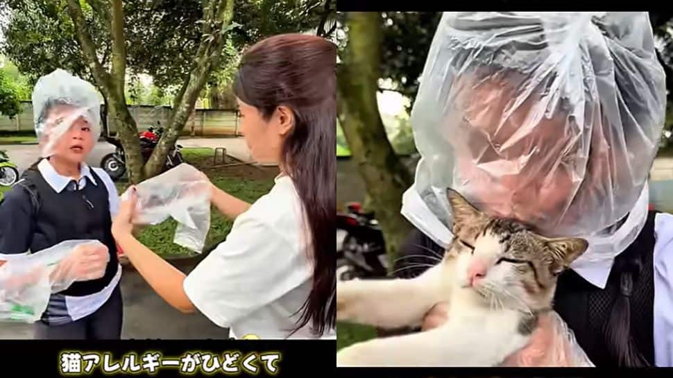 WATCH: Love knows no allergies - This cat owner`s viral way of showing affection will melt your heart