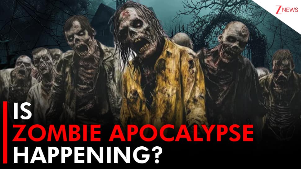 Is Zombie Apocalypse happening? Experts explain the medical reality behind growing 'zombie drug' fears
