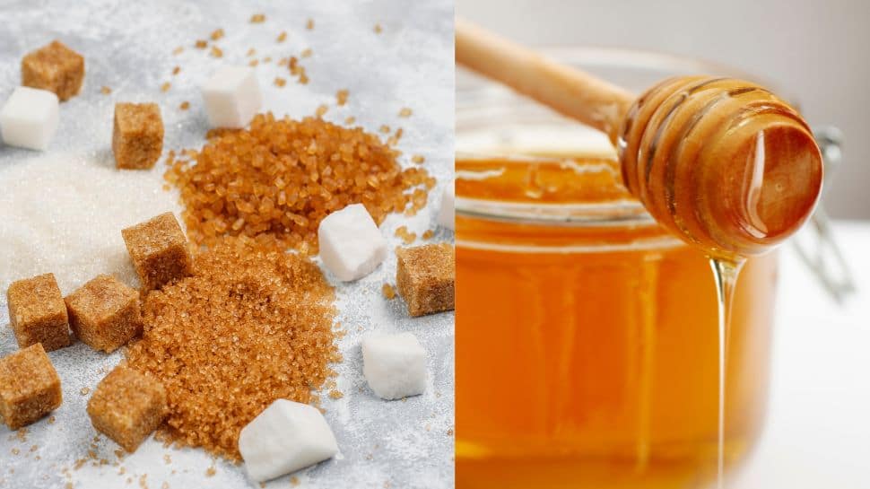 Brown Sugar or honey - which is better for weight loss? Expert highlights myths vs facts