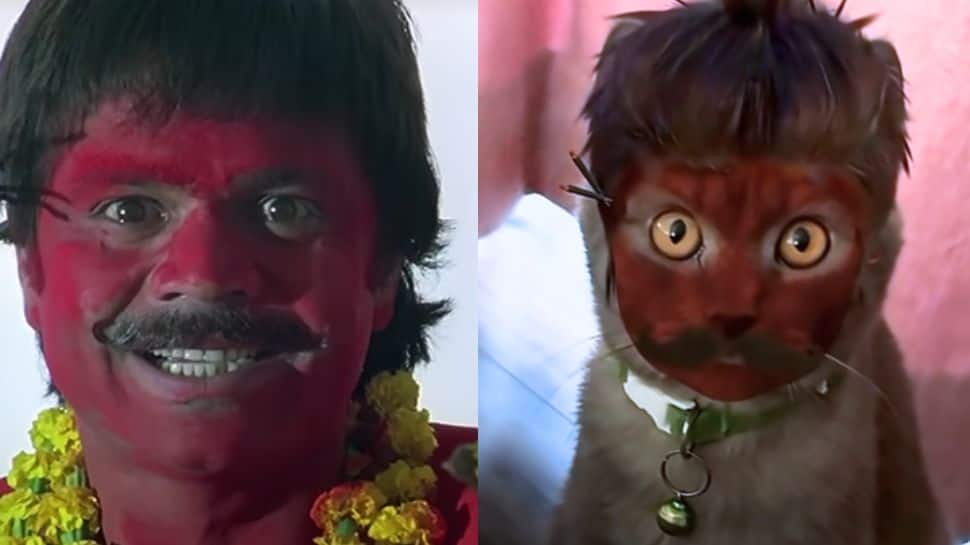 Move over Rajpal Yadav! This `Chhote Pandit` cat is breaking the internet with its hilarious avatar | Watch