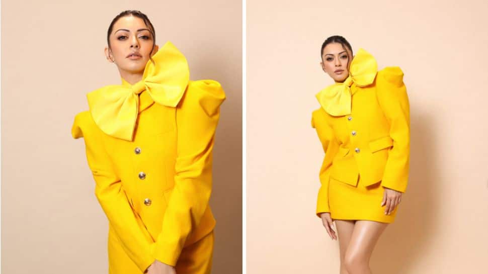 Why Hansika Motwani is being trolled as ‘delulu’ over casting couch remarks: ‘These things don’t happen to.......'