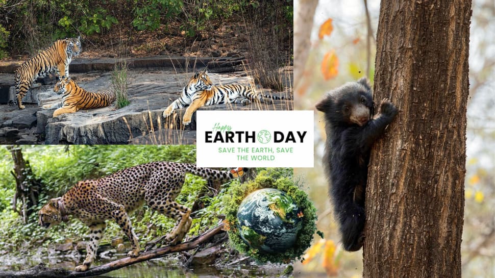 World Earth day 2026: 100+ wishes, quotes, greetings, and images to share - Save Earth, save future