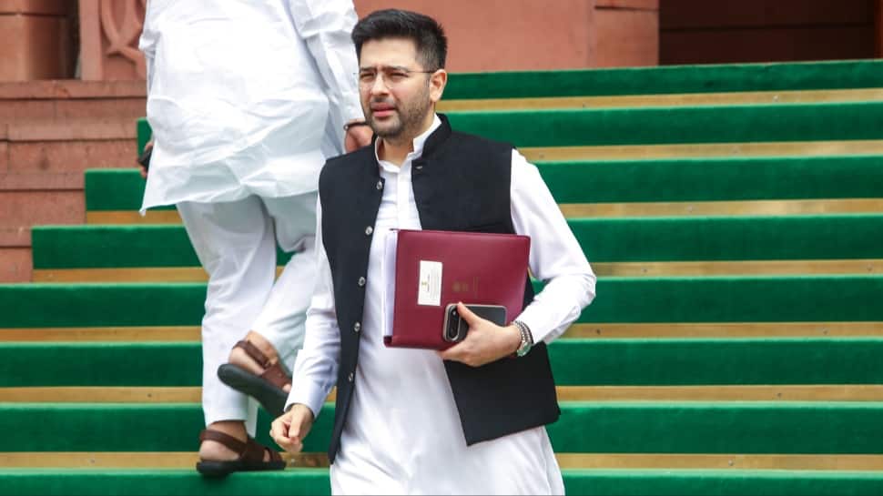 Raghav Chadha: The 22-year-old CA who became AAP`s `financial architect`- and the BJP`s biggest catch of 2026