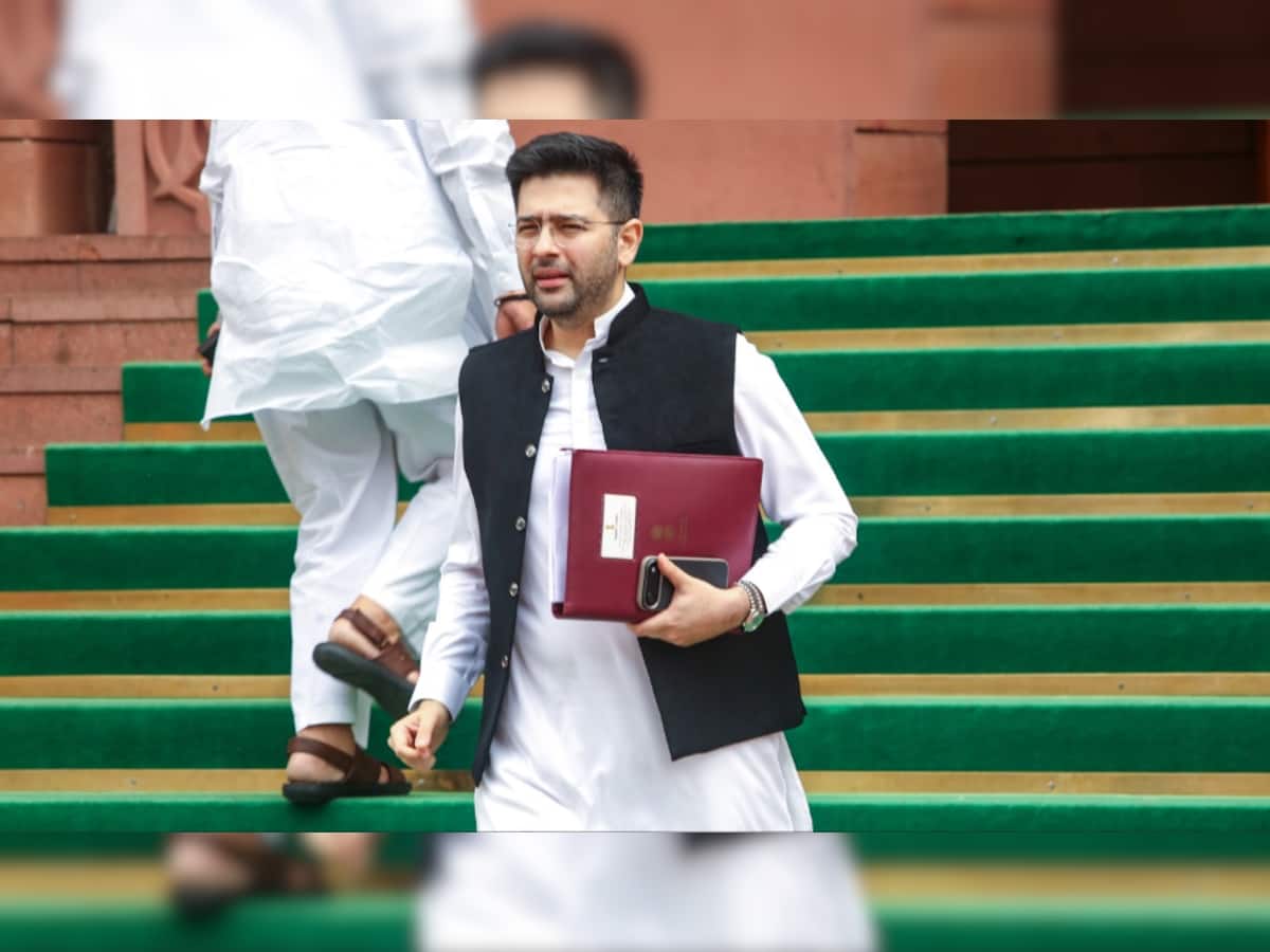 raghav-chadha-biography-ca-career-deloitte-lse-education-resignation-bjp