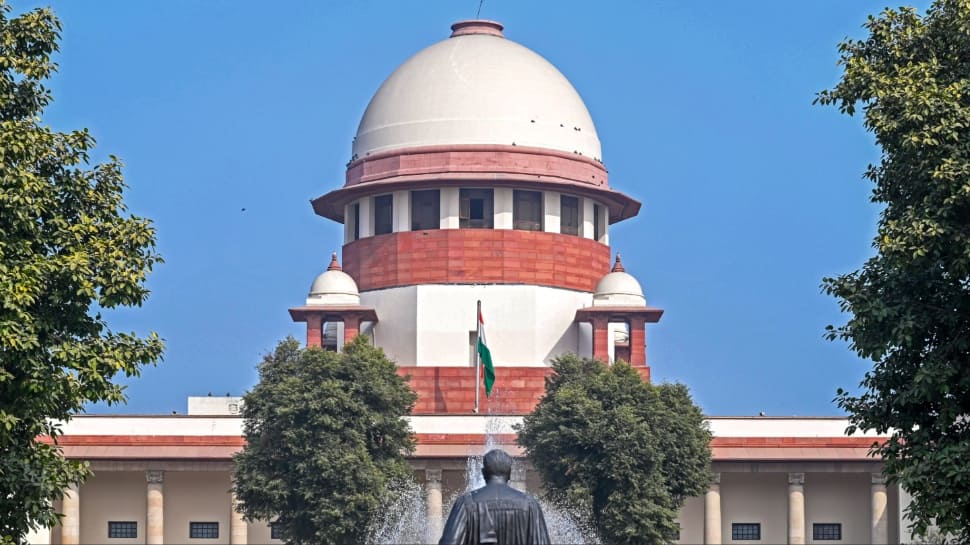 Ghaziabad child rape-murder: SC orders all-women SIT probe; trials halted amid police apathy claims