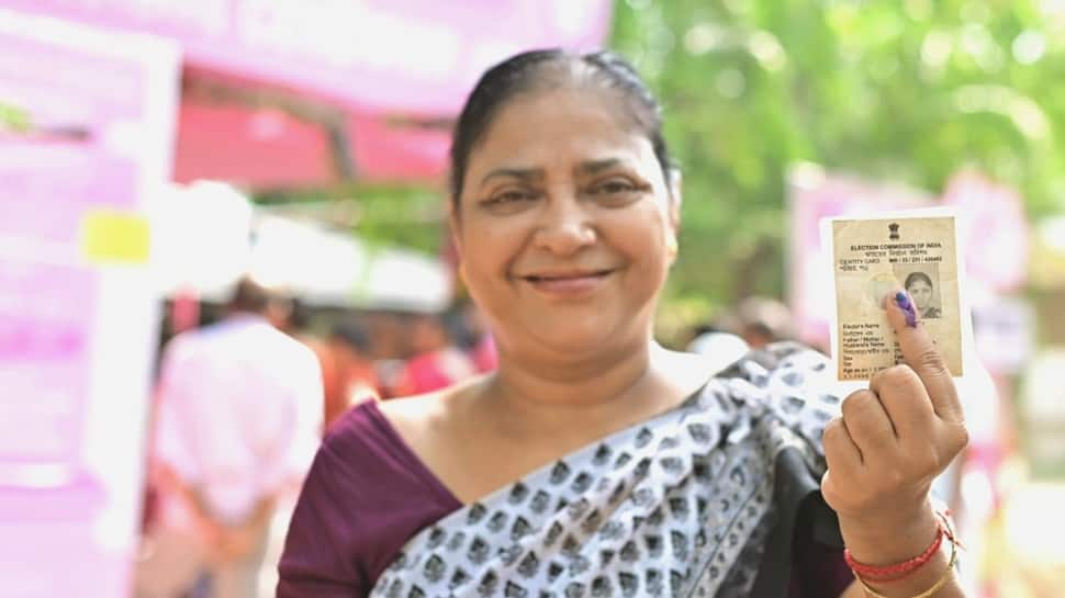 Gujarat local body polls: Official turnout at 49.02 pc in municipal corporations, re-poll ordered in Surendranagar