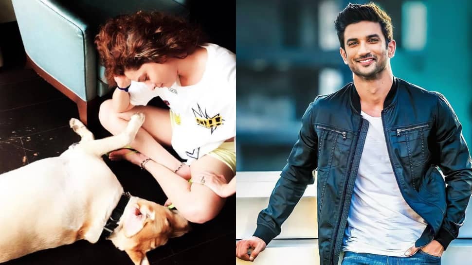 Ankita Lokhande misses her ‘baby Scotch,’ shares throwback video with late Sushant Singh Rajput